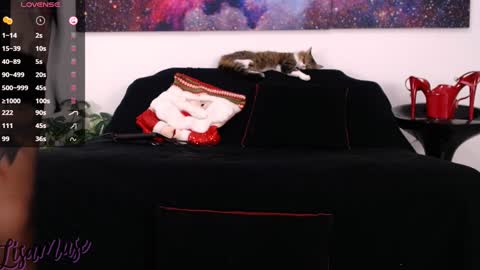 Snapshot of lisamusee chatting on December 24, 7:11 pm Lisamuse online show from December 24, 7:11 pm