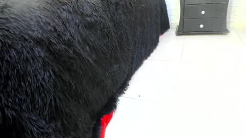 Misstress Martina  online show from February 14, 10:14 pm