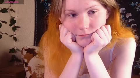 Snapshot of little_witch_sofia chatting on December 8, 9:08 pm Sofia online show from December 8, 9:08 pm