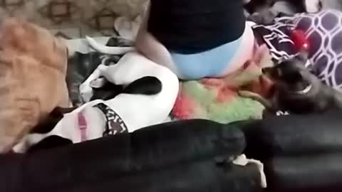 Sady Jayne online show from September 22, 2:24 am