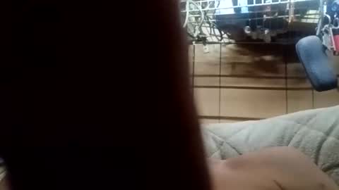 littlechub27817 online show from May 10, 10:53 am