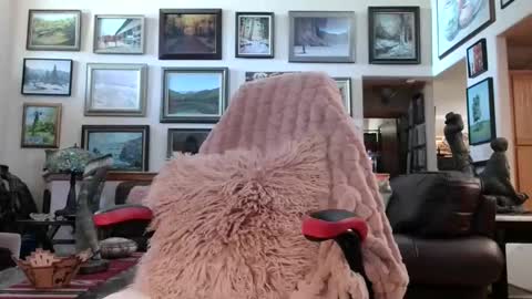 Snapshot of littlepistol chatting on May 18, 6:36 pm Miss D Shows Mon Wed Fri online show from May 18, 6:36 pm