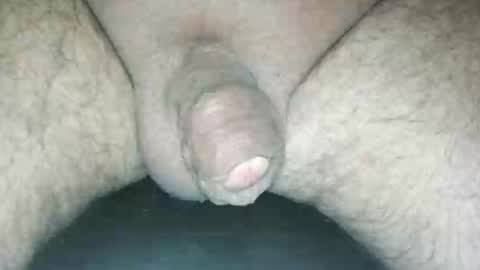 littlestick online show from September 26, 8:51 am