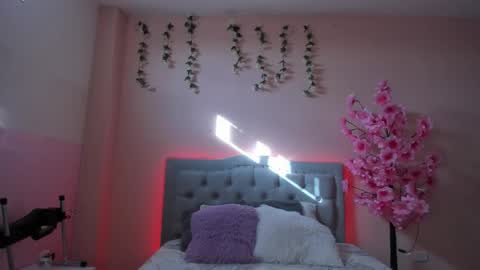 tammy online show from October 4, 12:25 pm