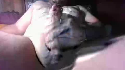 Snapshot of litwinpaweel chatting on December 2, 8:26 pm litwinpaweel online show from December 2, 8:26 pm