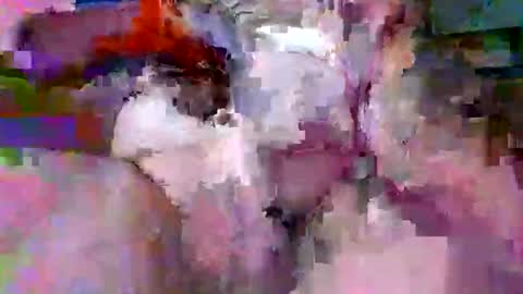 litwinpaweel online show from April 14, 7:42 pm