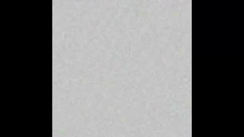 Liz  online show from March 1, 9:40 am