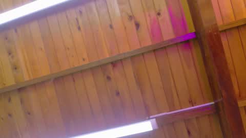  LIZBETH ROSS  online show from January 9, 10:18 am