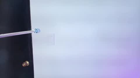 Snapshot of lizz_tender chatting on February 6, 11:54 am Lizz online show from February 6, 11:54 am