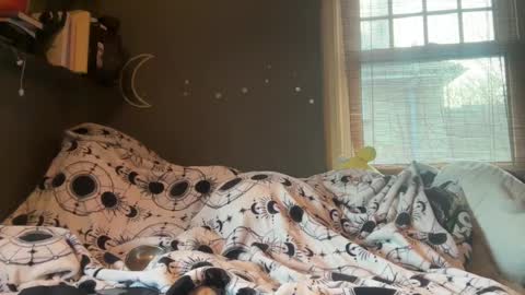 lizzybunny online show from March 5, 4:57 pm