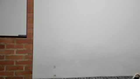 Snapshot of logannick chatting on April 9, 3:06 am Logan online show from April 9, 3:06 am