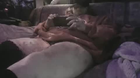 Sean online show from April 9, 9:58 am