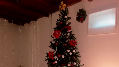 mara online show from December 6, 7:56 pm