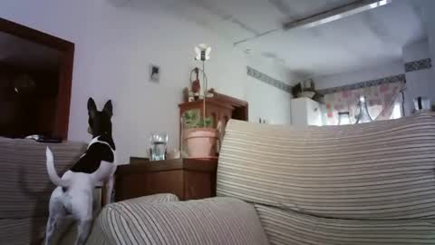 LOLA HUESO y ERIC online show from October 6, 8:12 am