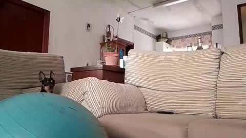 LOLA HUESO y ERIC online show from October 17, 8:06 am