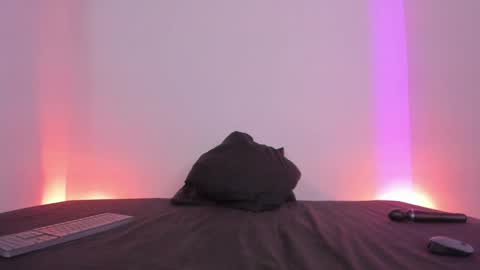 Lola online show from January 5, 8:00 pm