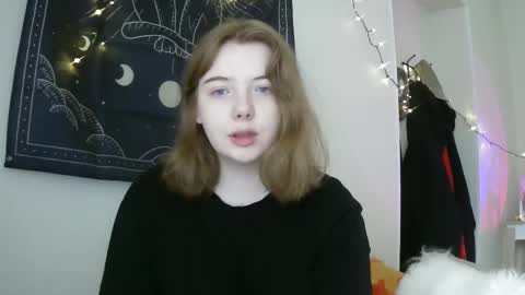 Lilly online show from February 15, 12:43 pm