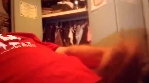 longdongsilverj online show from January 8, 11:10 am