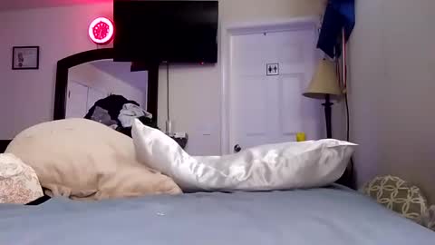 lookatmecum4you online show from January 18, 11:32 am