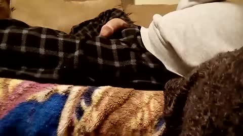 looking4bush online show from December 3, 7:21 am