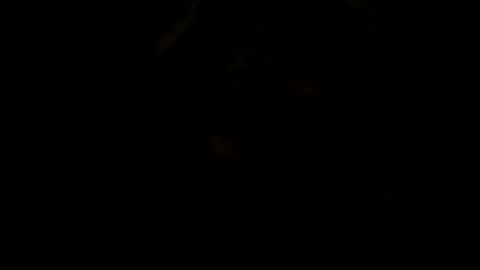 loose565 online show from February 23, 6:49 pm