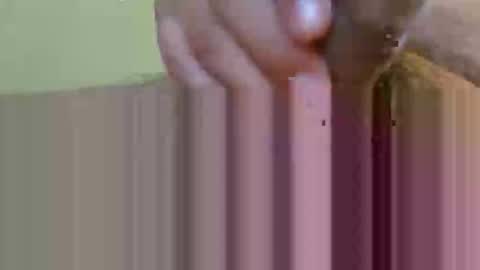 2791 3D online show from February 12, 5:35 am