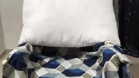 Riva online show from March 27, 10:37 am