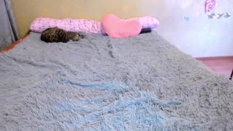 cat-girl online show from January 1, 5:22 pm