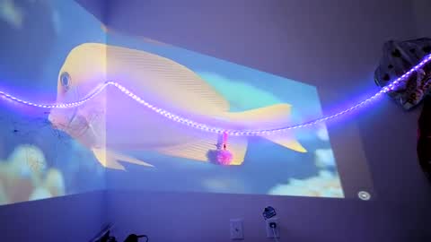 lovecandycunt143 online show from September 25, 8:23 pm