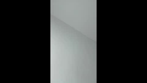 Sara and Sebastian online show from April 25, 9:56 pm