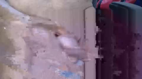 Lovesblackazz online show from March 9, 3:43 am