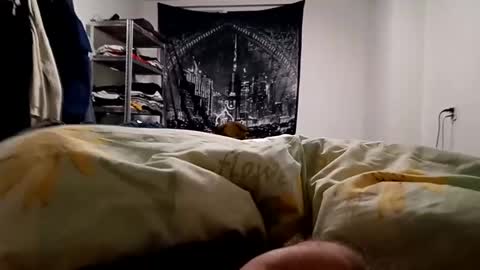 Lovetlick online show from December 23, 5:28 am