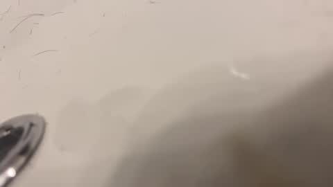 lovetoplayinmnwithu online show from January 30, 11:34 pm