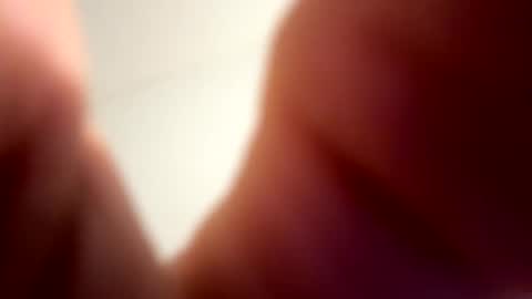 low8911 online show from February 21, 5:41 am