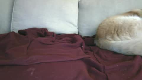 lowhangingfruit93 online show from January 26, 3:48 am