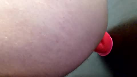 lateralus online show from April 27, 2:53 am