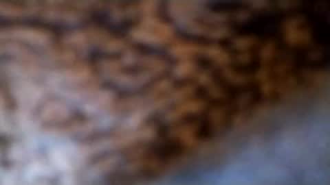 lubestroker4us online show from February 14, 5:32 pm