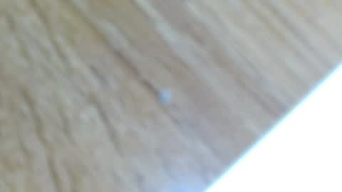 Snapshot of lucie_nicolls chatting on December 13, 12:31 am Lucie   online show from December 13, 12:31 am