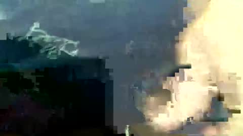 lucienal online show from November 24, 3:50 am