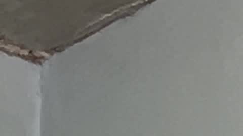 Lucien online show from September 17, 2:57 am