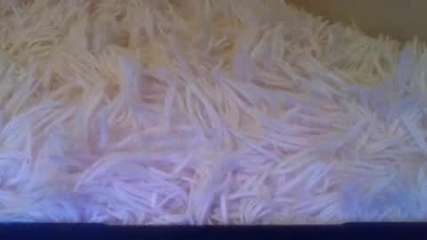 Snapshot of luckmoneylove1012 chatting on September 20, 5:14 pm prettybaby1012 online show from September 20, 5:14 pm