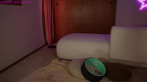 Lucy. online show from February 3, 4:57 am