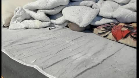 luffykun300 online show from April 6, 12:52 am