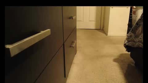 LUGO online show from October 8, 5:27 am