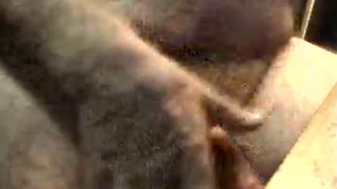 lukestarfckr online show from November 10, 9:19 am