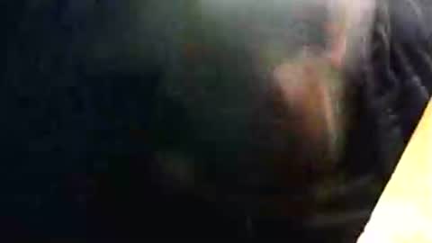 lukestarfckr online show from February 15, 9:33 pm