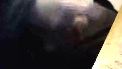 lukestarfckr online show from March 1, 6:32 pm