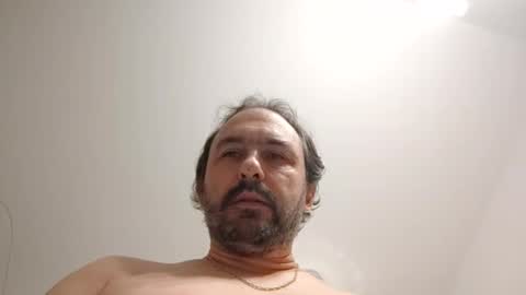 Ludo online show from November 11, 11:43 am