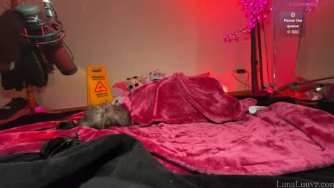 Snapshot of luna_luuvz chatting on February 24, 3:37 am Luna Luuvz online show from February 24, 3:37 am