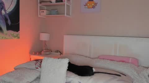 Sofia online show from December 24, 8:11 am